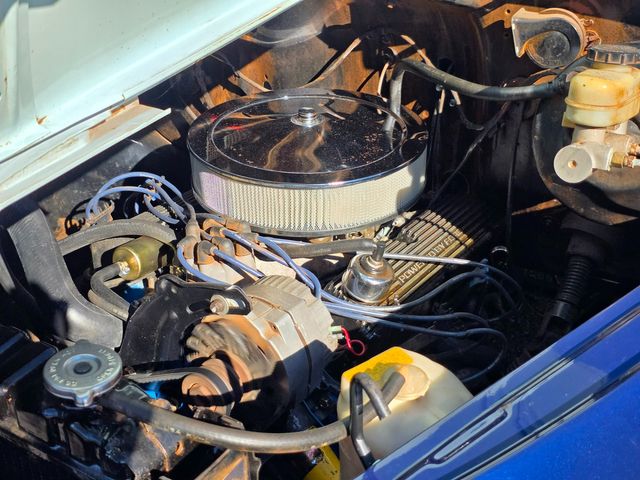 1955 Dodge Pickup 5 Window