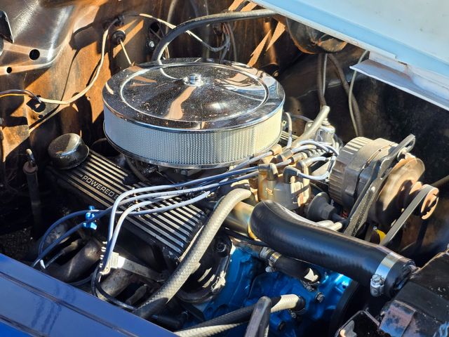 1955 Dodge Pickup 5 Window