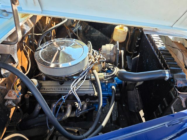 1955 Dodge Pickup 5 Window