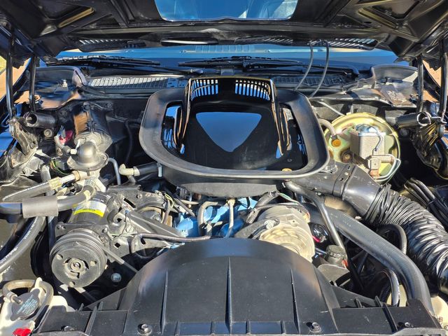 1976 Pontiac Trans Am 50th Anniversary Edition