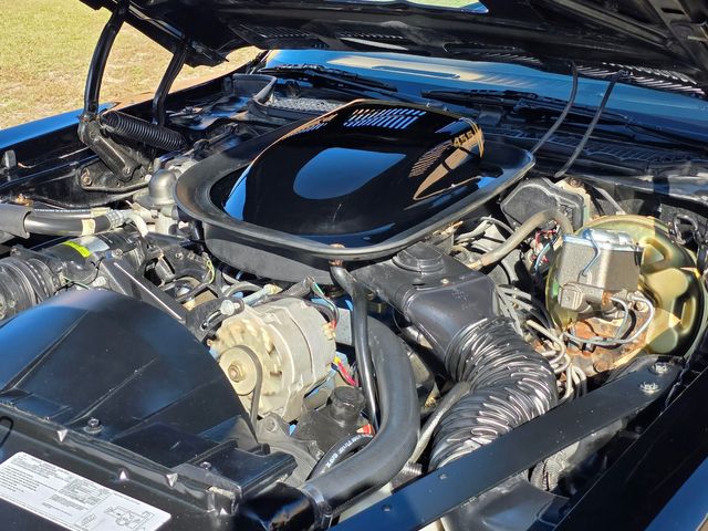 1976 Pontiac Trans Am 50th Anniversary Edition