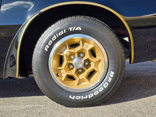 1976 Pontiac Trans Am 50th Anniversary Edition