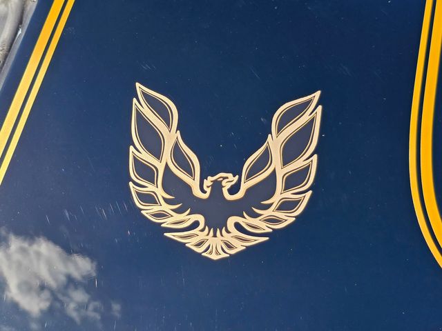 1976 Pontiac Trans Am 50th Anniversary Edition