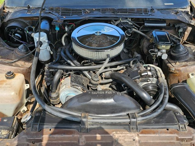 1984 Chevrolet Camaro Coupe